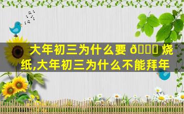 大年初三为什么要 🐞 烧纸,大年初三为什么不能拜年